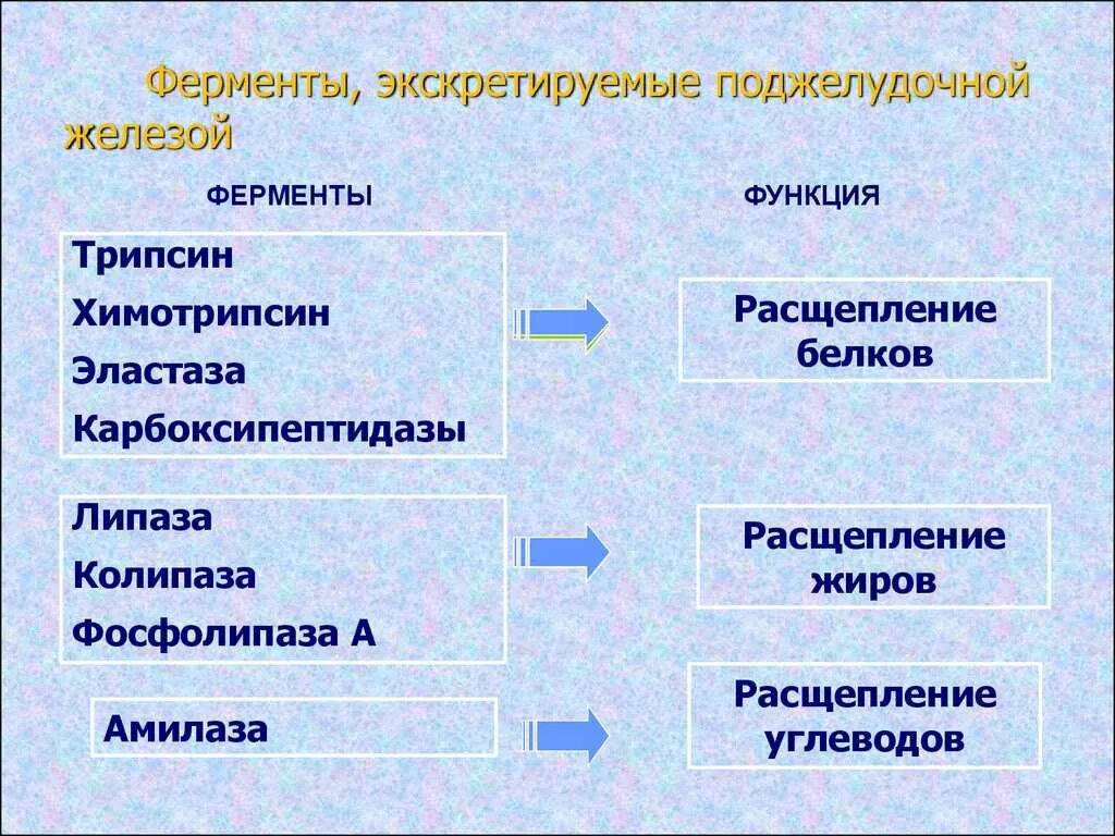 Поджелудочная железа функции ферментов таблица. Ферменты поджелудочной железы таблица. Ферменты поджелудочной. Основные ферменты поджелудочной железы.