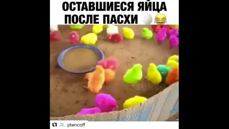 Остался без яиц. Остался без яиц рассказы. Кулич 3 кекса коломенский. Кулич диаметр 18 см. Остались яйца после пасхи что приготовить.