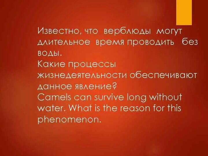 Заполните таблицу этапы сближения советских республик дата договоры Unique Home 
