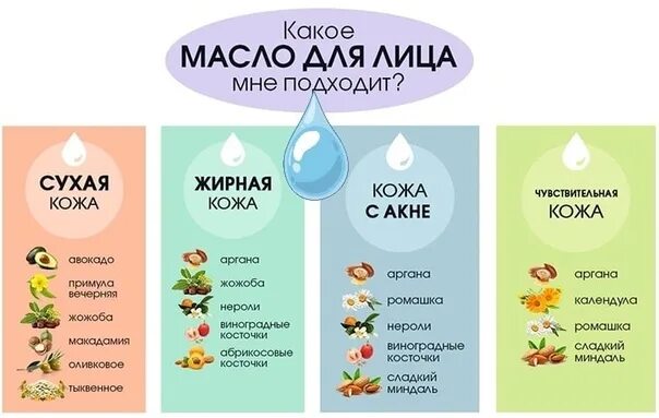 Какие виды продуктов могут быть в проекте Питание учащихся