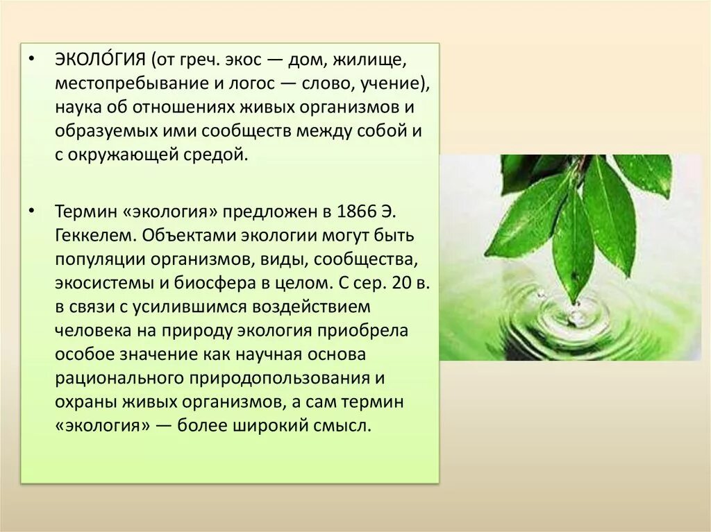 Экология животных исследовательская работа. Экология презентация. презентация на тему экология. экология доклад. сообщение о экологии.