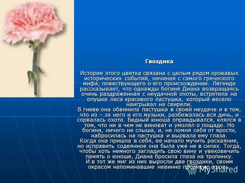 гвоздиков рассказ