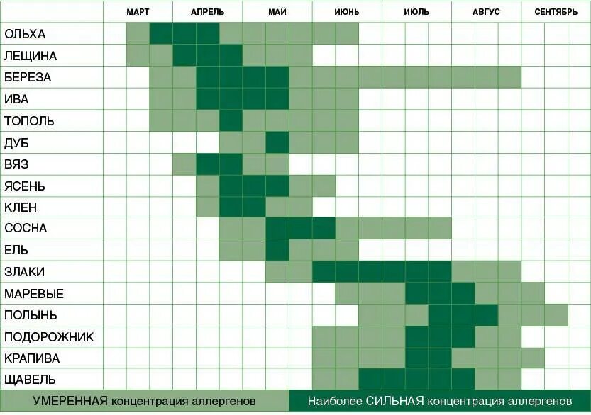 Таблица цветения растений. Таблица цветения деревьев. График цветения деревьев. Период цветения деревьев. Аллергены сейчас