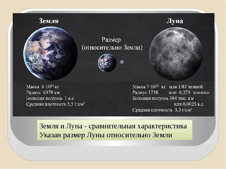 Отношение масс земли и луны