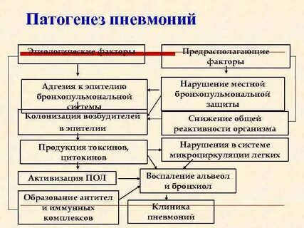Схема пневмонии