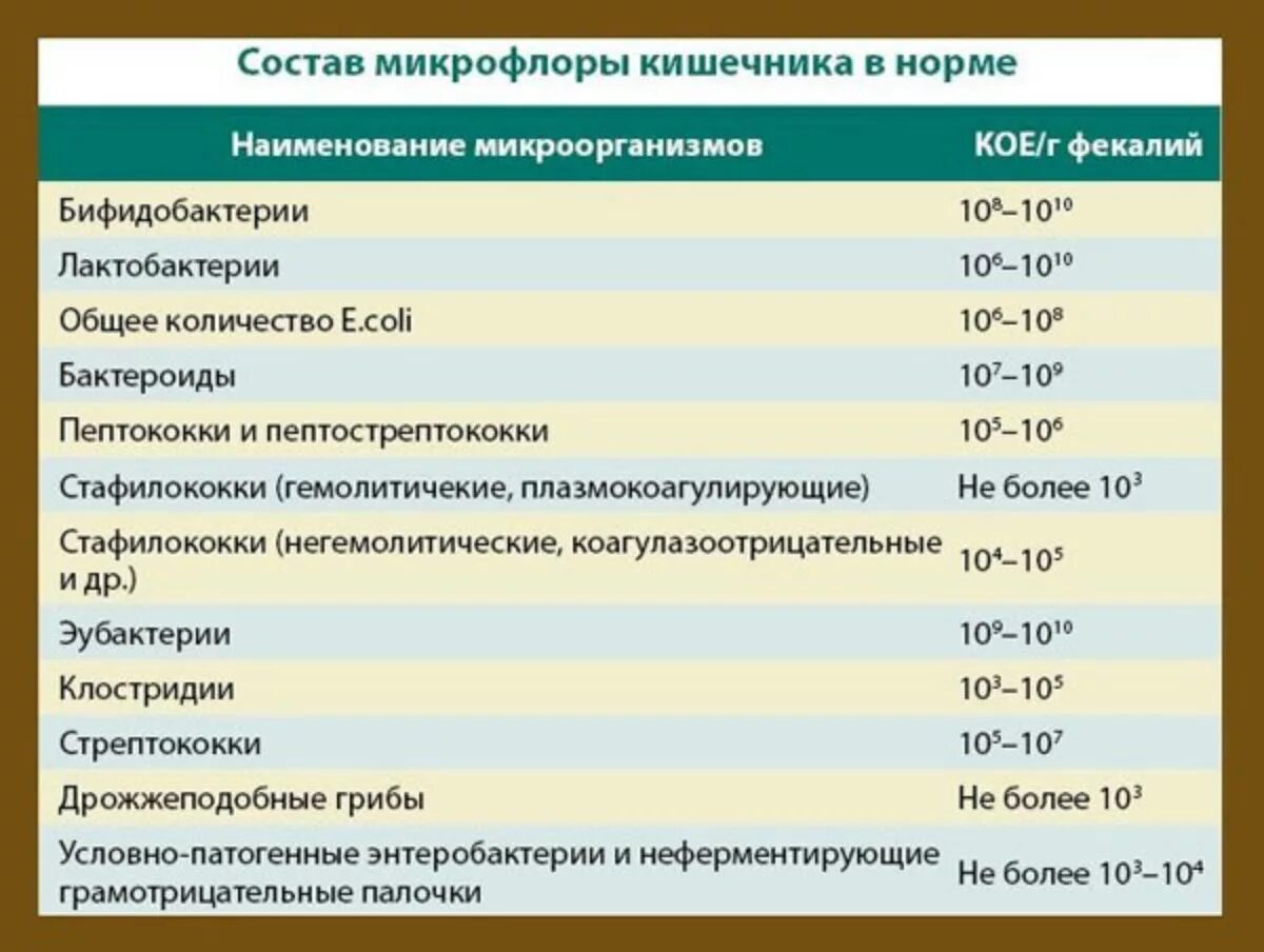 Норма бактерия. Исследование на дисбактериоз ребенка норма. норма показателей микрофлоры кишечника. нормальные показатели микрофлоры кишечника. характеристика основных представителей микрофлоры кишечника.