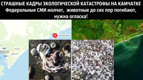 Экологические катастрофы иркутская область
