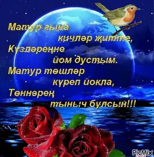 Сина дустым