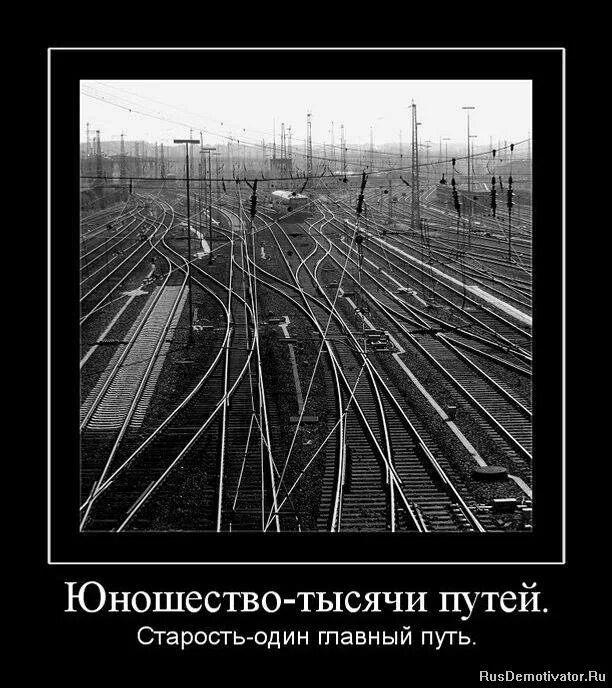 Главное путь. Демотиватор путь. Свобода демотиваторы. Тысяча путей. Демотиваторы со смыслом про жизнь.