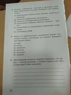 Тест по биологии 8 класс внутренняя среда