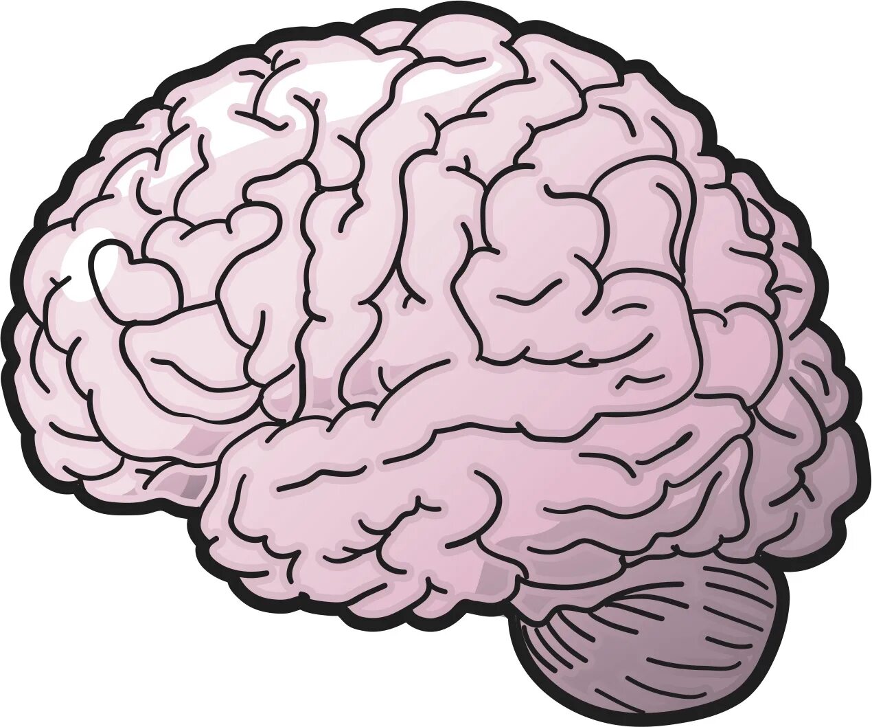 Мозг картинка. Мозг без фона. Мозг иллюстрация. Мозг человека для детей.