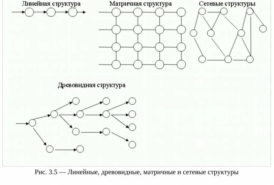 Рисунок 3 1 структура. Модель структуры системы. Сетевая структура моделирования. Типы структурных моделей систем. Сетевая структура системы.