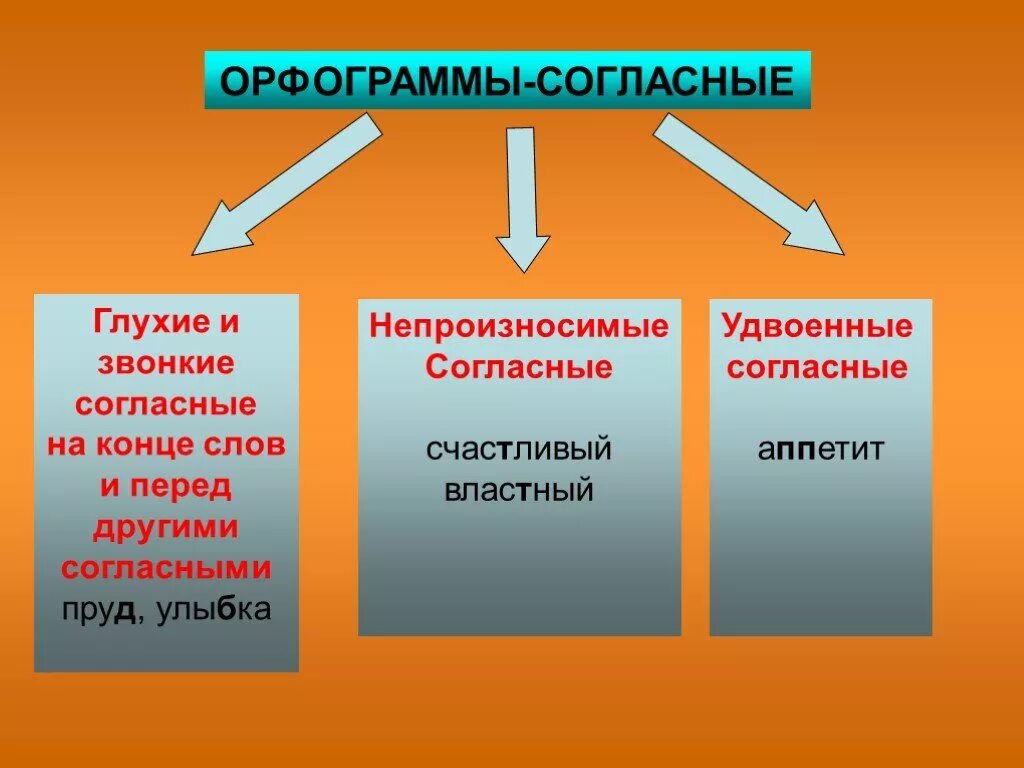 Орфограмма проверяемого согласного в корне. Орфограммы согласных в корне. Орфограммы гласные и согласные. Орфограмма согласные в корне. Орфограммы в корень слова согласные.