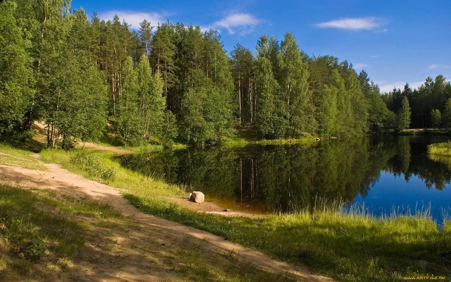 Токсово Ленинградская озеро. Озеро светлое Токсово. Токсово торфяные озера. Царицыно озеро Тихвин.