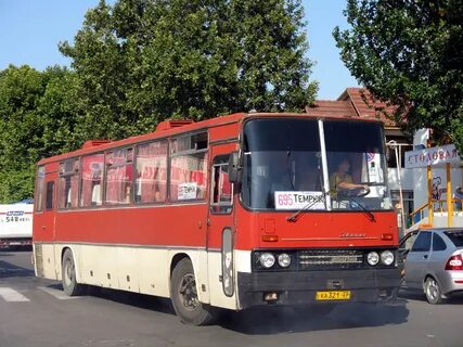 Автобус плодовое