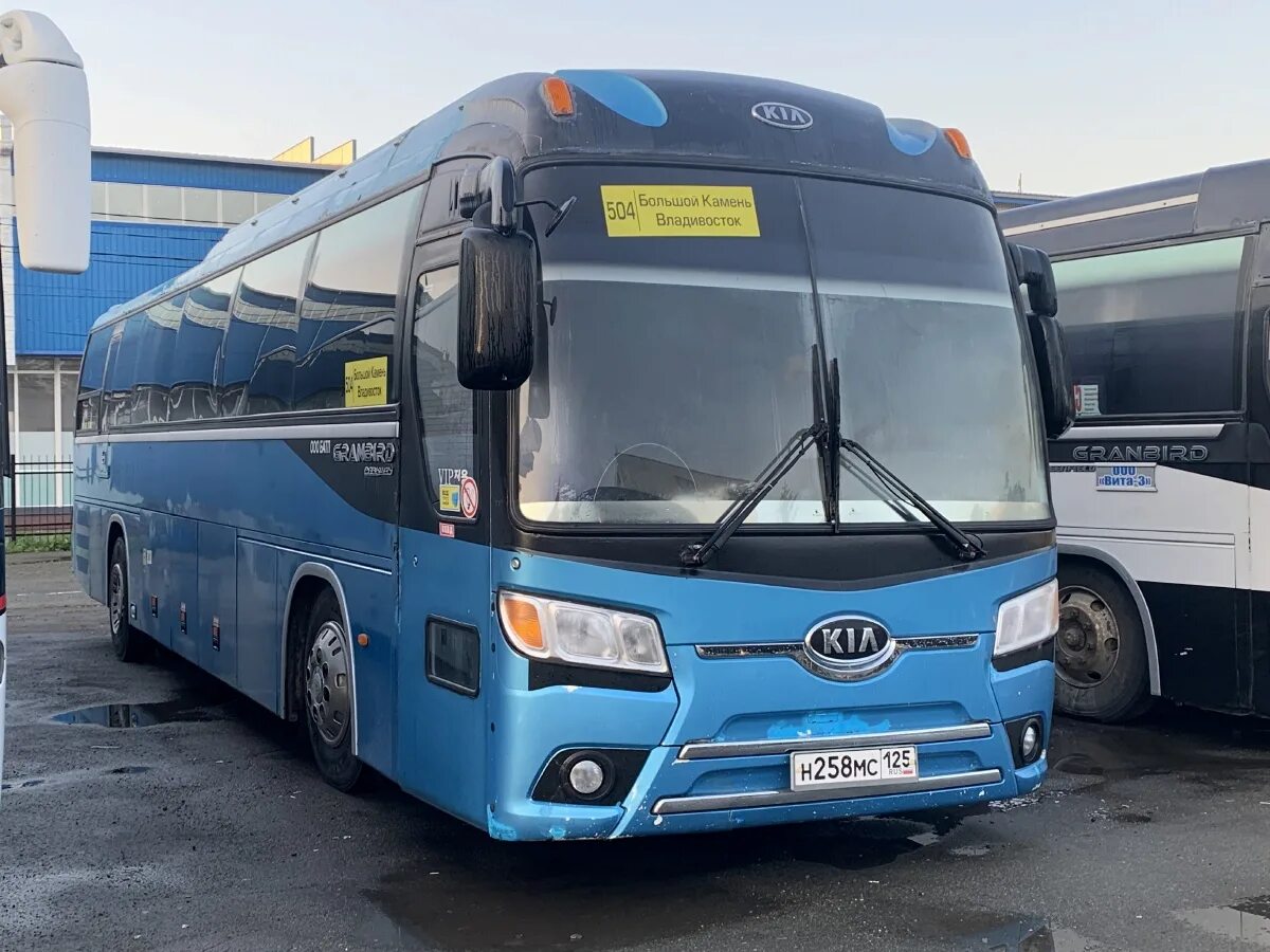 Автобусы владивосток большой. Автобус 504 приморский край. автобус большой камень владивосток. 504 автобус владивосток большой камень.