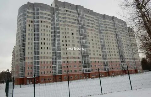 Кучино леоновское шоссе