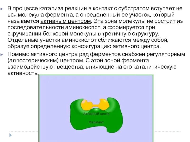 Катализ ферментов. Процесс ферментативного катализа. Схема ферментативного катализа. Ферментативный катализ фермент. Особенности ферментативного катализа биохимия.