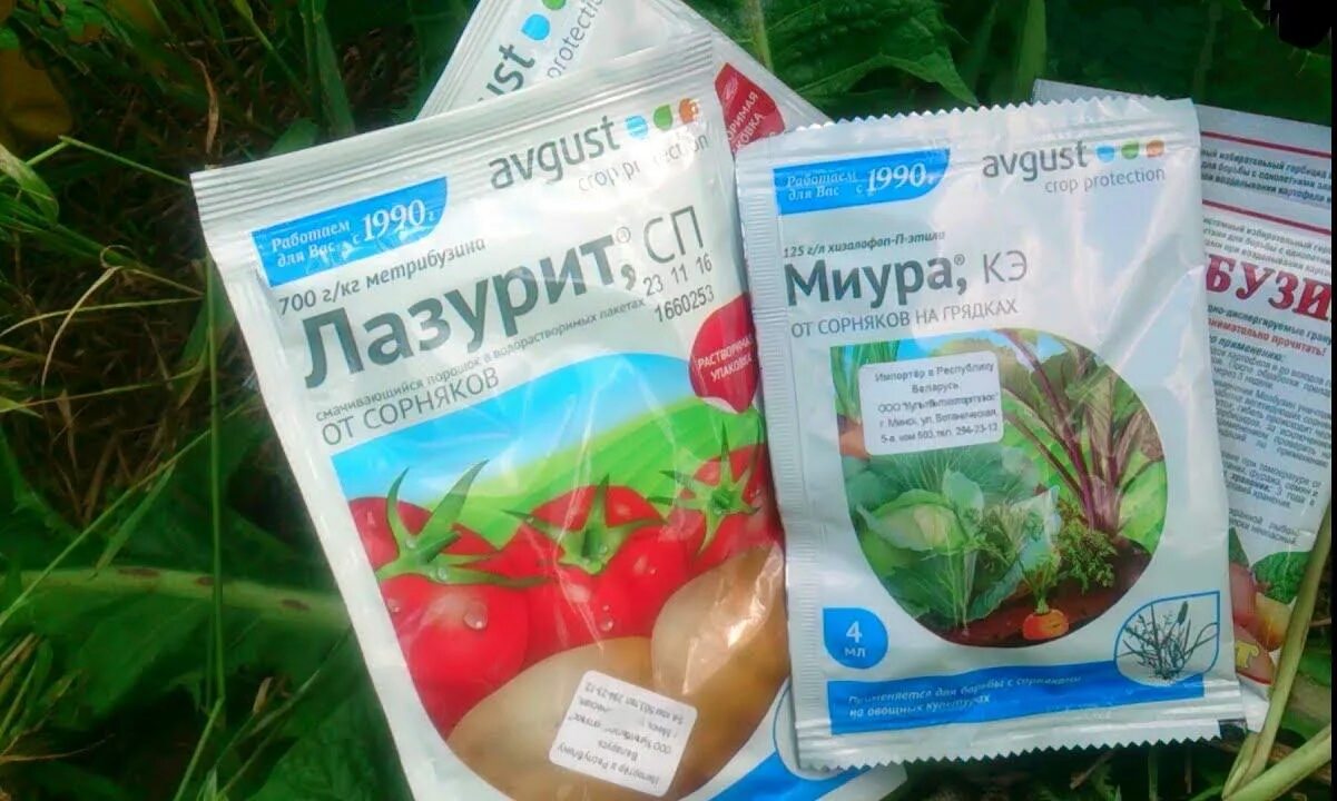 Как обрабатывать картошку лазуритом