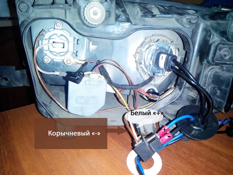 Как заменить ксенон на лед лампу Ксенон или LED: какие лампы лучше блог