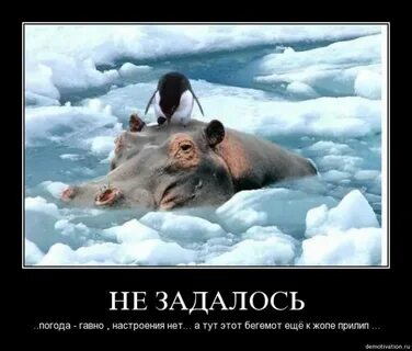 Утро мое не задалось