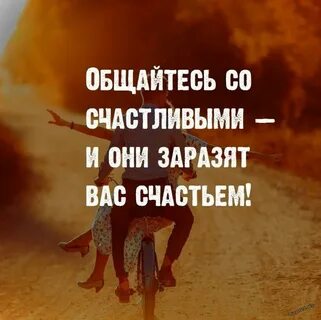 Фразы счастливая жизнь