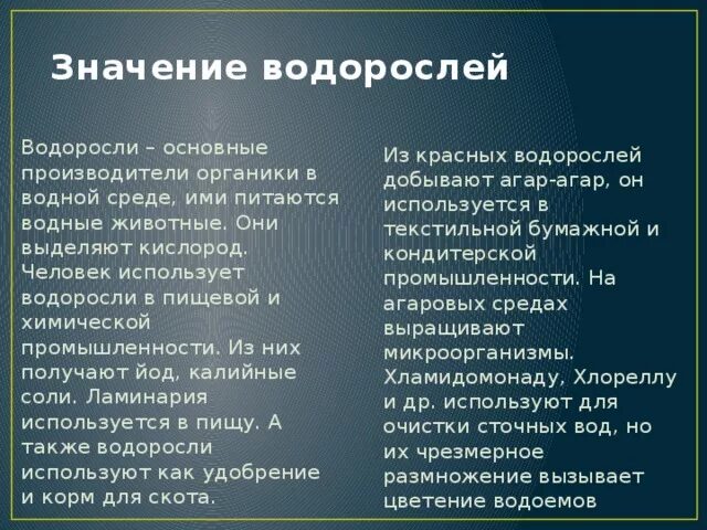 Экологическое значение водорослей. Значение водорослей.