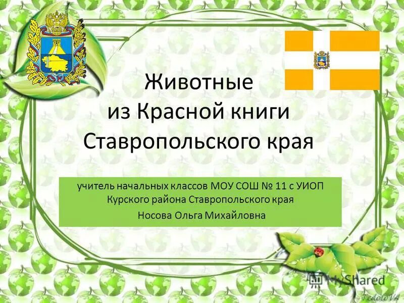 красная книга животных и растений ставропольского края. красная книга ставропольского края коллектив авторов книга. животное из красной книги ставропольского края. красная книга животные ставропольского. доклад о животных ставропольского края.