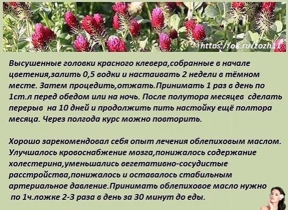 Сосуды головного мозга лечение народными средствами. Рецепт для сосудов головного мозга. Народные средства для очистки сосудов головного мозга. Народные рецепты чистка сосудов головного мозга. Настойка для чистки сосудов головного мозга.