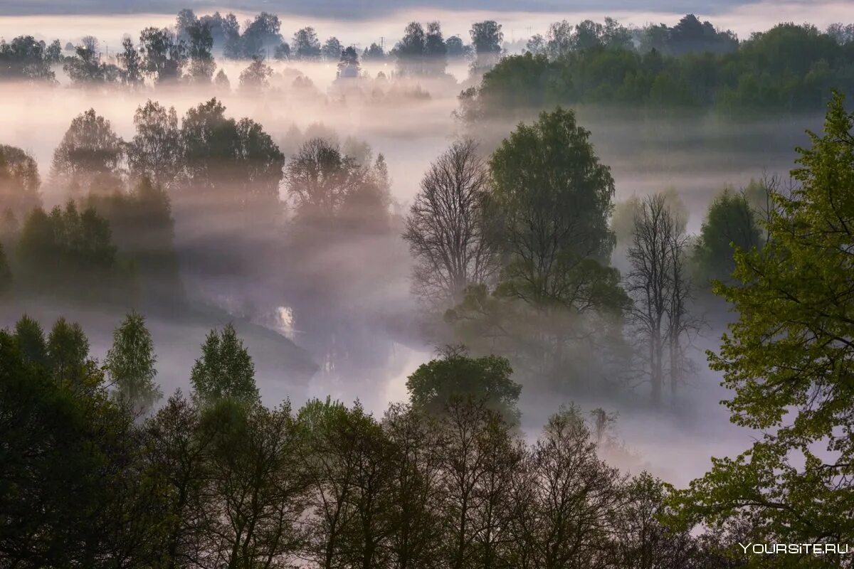 Таинственные пейзажи. Мир тумана. Красивый туман. Сказка о тумане. Призрачный туман.