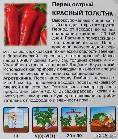 Можно ли красный перец