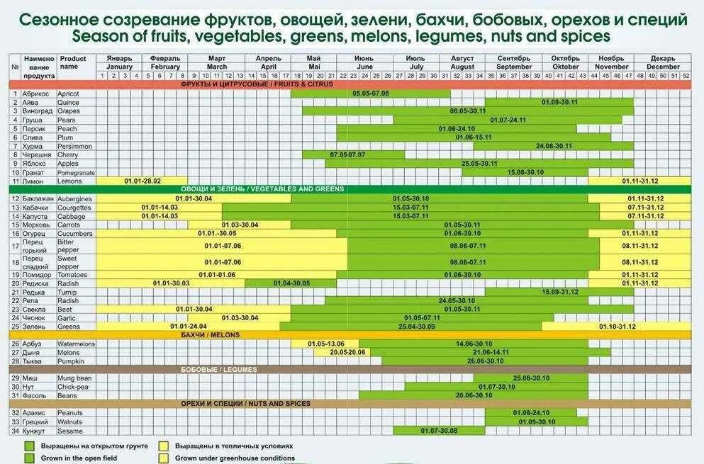 Сезонные фрукты и овощи по месяцам в России таблица. Таблица созревания овощей и фруктов в России. График созревания овощей и фруктов. Сезонность фруктов и овощей в России.