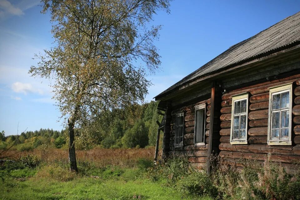 Дом деревне купить ярославское. Деревня Высоково Любимский район Ярославская. Заброшенные деревни Ярославской области Пошехонского района. Деревня Осиновец Любимский район. Деревня Смильково Пошехонский район.