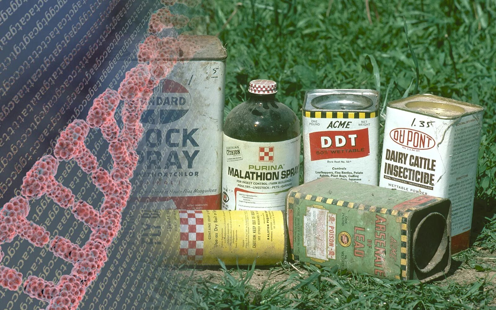 Химическое вещество для борьбы с насекомыми