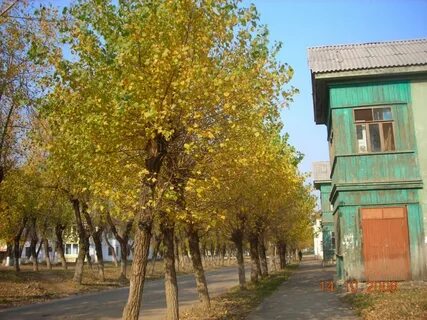 Дом приморский край арсеньев