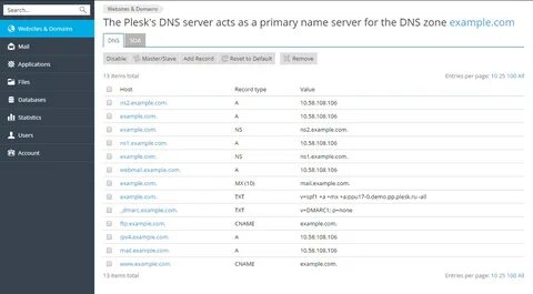 Domain record