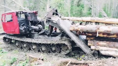 Работа трелевочного трактора
