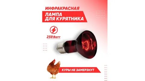Инфракрасная лампа для курятника как работает