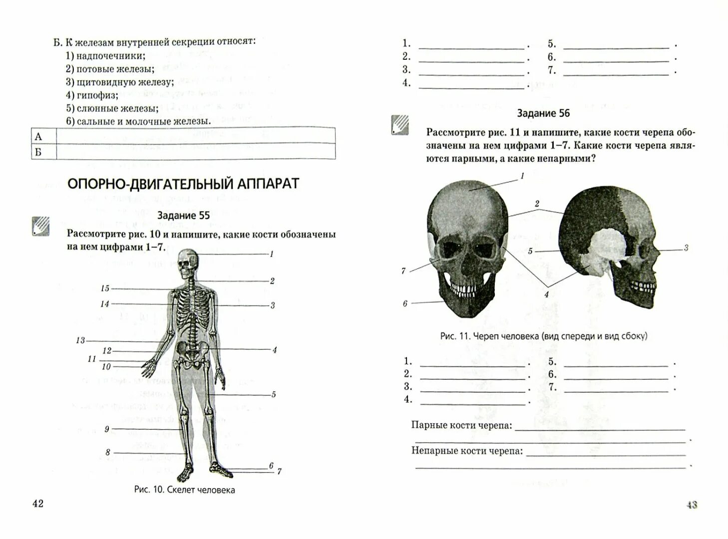 Рабочая тетрадь по анатомии. Никишов богданов биология 9 класс. человек и его здоровье никишов богданов. р т по биологии 9 класс никишов. богданов рабочая тетрадь 9 класс биология.