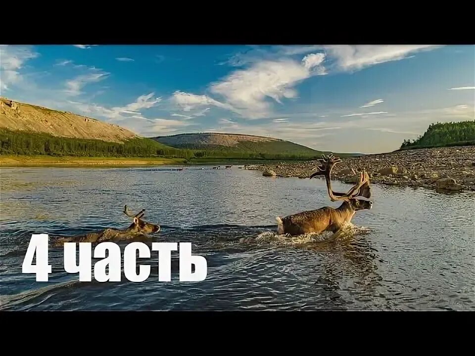 Река котуй на карте
