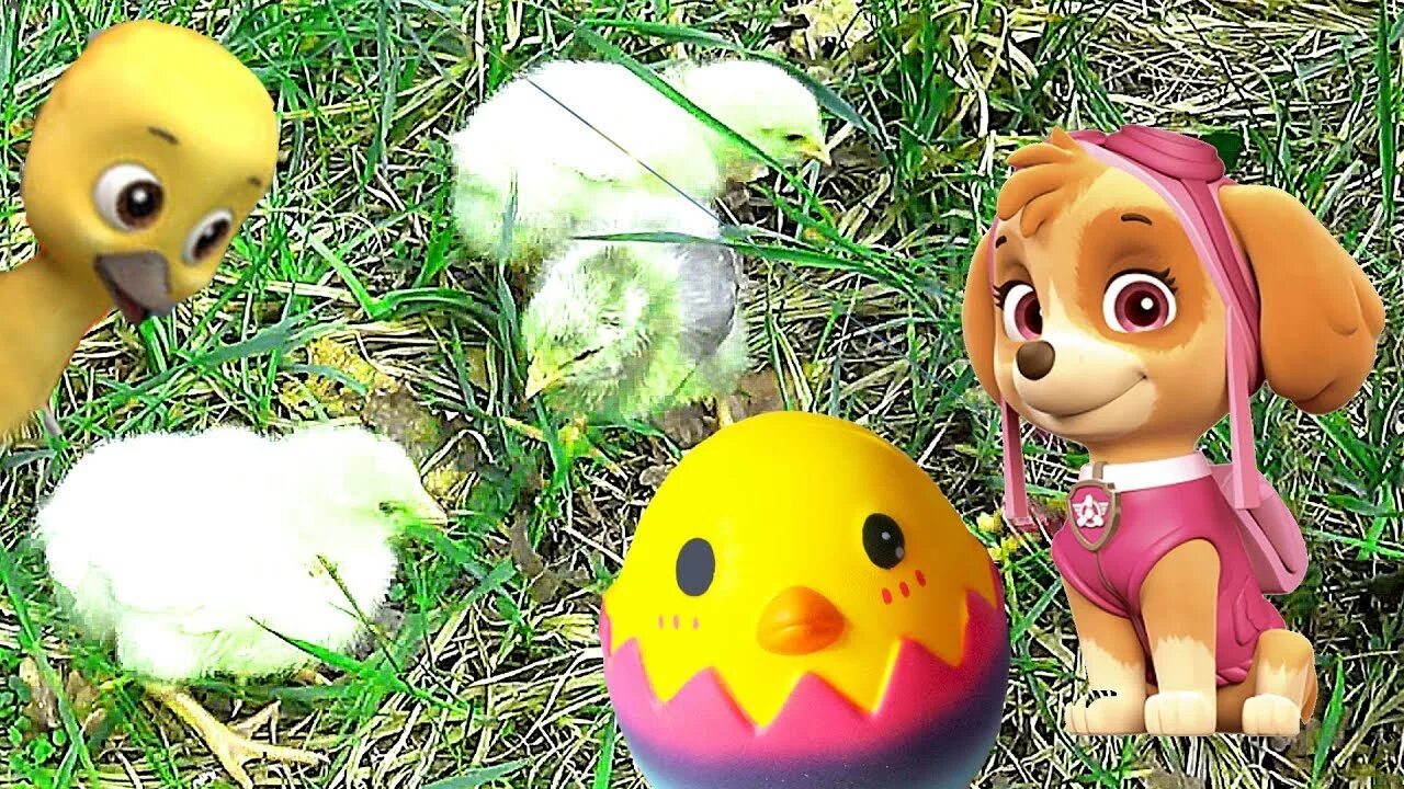 Pups save alex. Щенячий патруль цыпалетта. Paw patrol mighty twins. Щенячий патруль. Щенячий патруль цыпалетта игрушка.