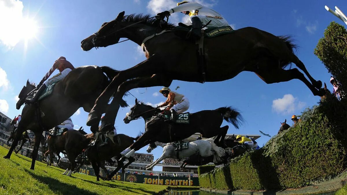 Grand national. Home of horse racings grand national. Скачки grand national. Стипль-чез скачки. Home of horse racings grand national.