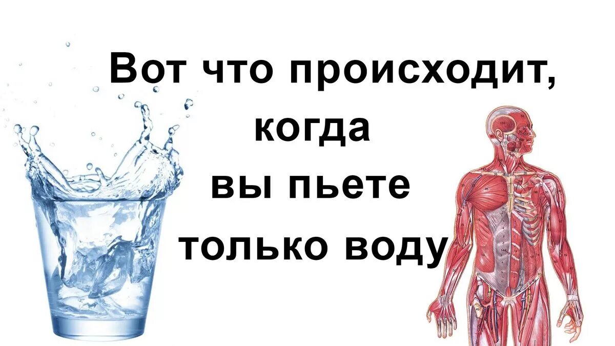 Пить много воды. Что если пить только воду. Что если пить только воду неделю. Если пить только воду месяц. Не пью ничего кроме воды