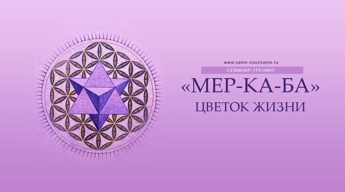Торус сакральная геометрия. Цветок жизни символ. Друнвало мельхиседек сакральная геометрия. Цветы жизни описание. Древо жизни сакральная геометрия.