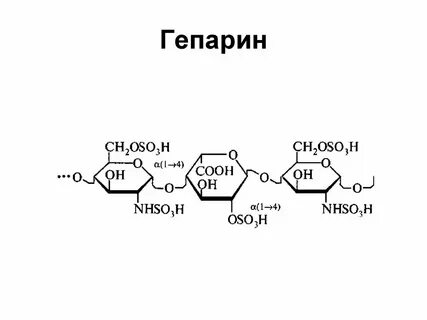 Гепарин биологическая роль