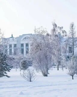Декабрь омск