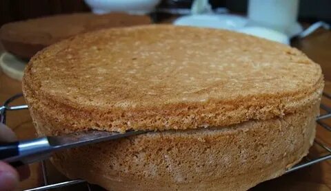 Коржи простые в духовке бисквитный