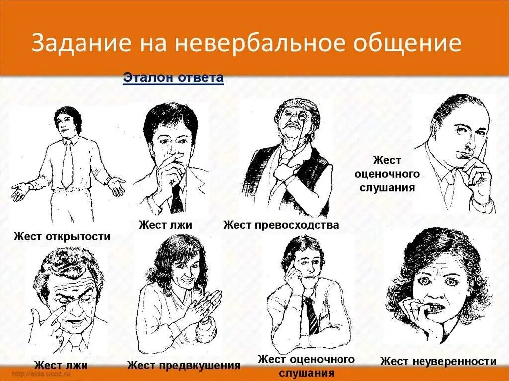 Невербальные проявления людей