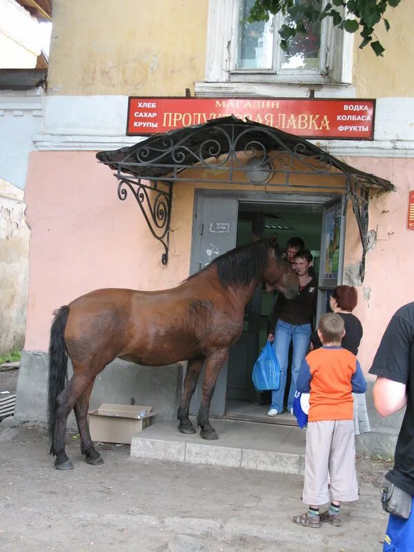 Магазины horse