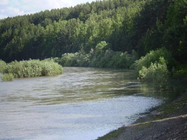 Алтайский край соусканиха красногорский. Река аламбай алтайский край. соусканиха красногорский район. соусканиха алтайский край красногорский район. река бия красногорский район.